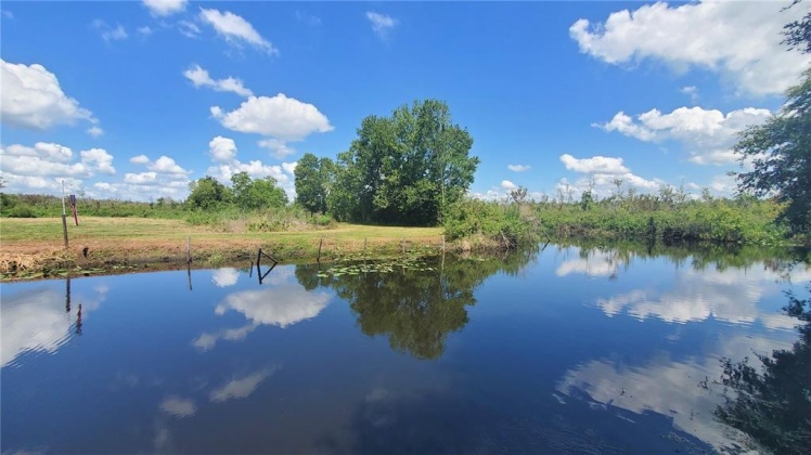 HERBS ROAD, WINTER HAVEN, Florida 33881, ,Land,For Sale,HERBS,P4916123