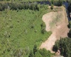 HERBS ROAD, WINTER HAVEN, Florida 33881, ,Land,For Sale,HERBS,P4916123