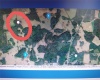 0 DOUBLE DIAMONDS DR. ( LOTE 10, BLOCK 56), POLK CITY, Florida 33868, ,Land,For Sale,0 DOUBLE DIAMONDS DR. ( LOTE 10 , BLOCK 56),T3357534