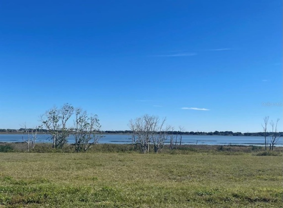 280 CALADIUM AVENUE, LAKE ALFRED, Florida 33850, ,Land,For Sale,CALADIUM,O6006698