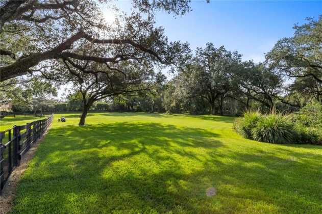 210 CANTERWOOD LANE, MULBERRY, Florida 33860, 4 Bedrooms Bedrooms, ,4 BathroomsBathrooms,Residential,For Sale,CANTERWOOD,L4927174