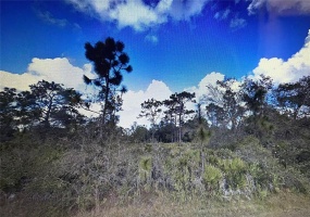 624 POINCIANA DRIVE, INDIAN LAKE ESTATES, Florida 33855, ,Land,For Sale,POINCIANA,T3355846