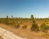 404 CALENDULA DRIVE, INDIAN LAKE ESTATES, Florida 33855, ,Land,For Sale,CALENDULA,O6002229