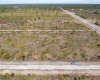 404 CALENDULA DRIVE, INDIAN LAKE ESTATES, Florida 33855, ,Land,For Sale,CALENDULA,O6002229