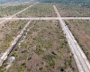 404 CALENDULA DRIVE, INDIAN LAKE ESTATES, Florida 33855, ,Land,For Sale,CALENDULA,O6002229