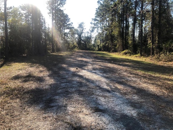 TBD BELMONT DRIVE, INDIAN LAKE ESTATES, Florida 33855, ,Land,For Sale,BELMONT,OM634925