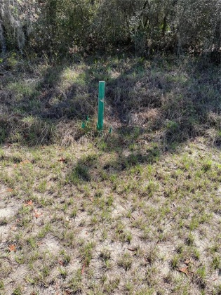 1401 SARASOTA COURT, POINCIANA, Florida 34759, ,Land,For Sale,SARASOTA,O6006977