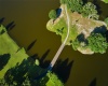 807 VALENCIA DRIVE, INDIAN LAKE ESTATES, Florida 33855, ,Land,For Sale,VALENCIA,T3357849