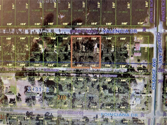 807 VALENCIA DRIVE, INDIAN LAKE ESTATES, Florida 33855, ,Land,For Sale,VALENCIA,T3357849