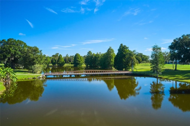 807 VALENCIA DRIVE, INDIAN LAKE ESTATES, Florida 33855, ,Land,For Sale,VALENCIA,T3357849