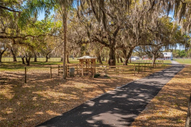 843 TIGER LAKE ROAD, LAKE WALES, Florida 33898, 3 Bedrooms Bedrooms, ,2 BathroomsBathrooms,Residential,For Sale,TIGER LAKE,P4919652