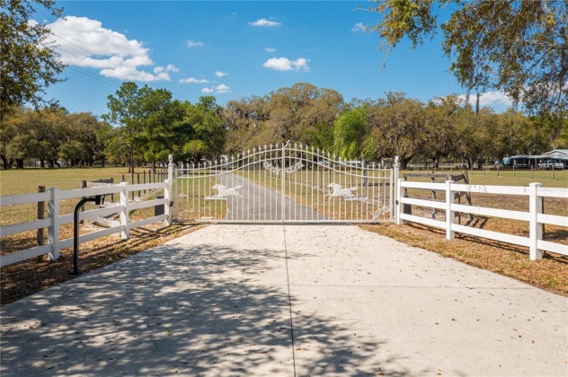 843 TIGER LAKE ROAD, LAKE WALES, Florida 33898, 3 Bedrooms Bedrooms, ,2 BathroomsBathrooms,Residential,For Sale,TIGER LAKE,P4919652