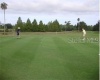807 ALTHEA DRIVE, LAKE WALES, Florida 33898, ,Land,For Sale,ALTHEA,O6007580