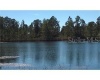 807 ALTHEA DRIVE, LAKE WALES, Florida 33898, ,Land,For Sale,ALTHEA,O6007580