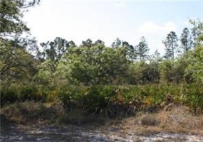 807 ALTHEA DRIVE, LAKE WALES, Florida 33898, ,Land,For Sale,ALTHEA,O6007580