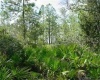 807 ALTHEA DRIVE, LAKE WALES, Florida 33898, ,Land,For Sale,ALTHEA,O6007580