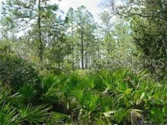 807 ALTHEA DRIVE, LAKE WALES, Florida 33898, ,Land,For Sale,ALTHEA,O6007580