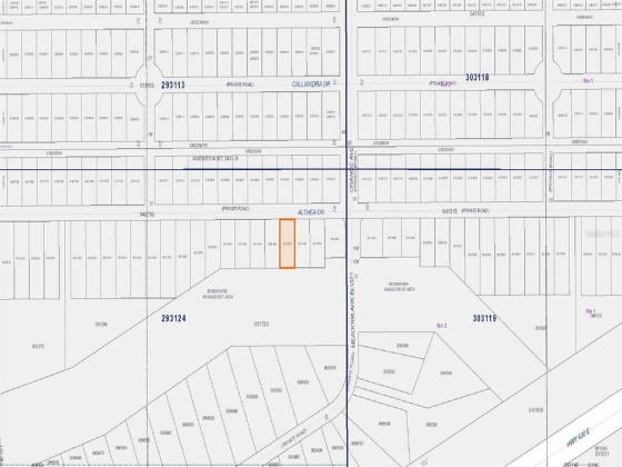 807 ALTHEA DRIVE, LAKE WALES, Florida 33898, ,Land,For Sale,ALTHEA,O6007580