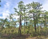 4370 INDIAN LAKE DRIVE, LAKE WALES, Florida 33898, ,Land,For Sale,INDIAN LAKE,P4919583
