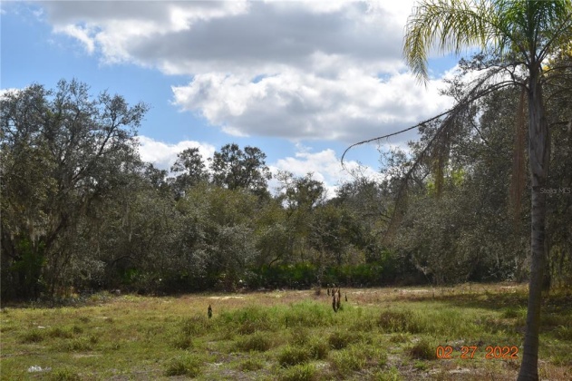 2400 BUCK BOARD TRAIL, LAKE WALES, Florida 33898, ,Land,For Sale,BUCK BOARD,S5063719