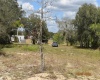 2400 BUCK BOARD TRAIL, LAKE WALES, Florida 33898, ,Land,For Sale,BUCK BOARD,S5063719