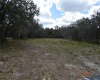 2400 BUCK BOARD TRAIL, LAKE WALES, Florida 33898, ,Land,For Sale,BUCK BOARD,S5063719