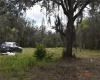 2400 BUCK BOARD TRAIL, LAKE WALES, Florida 33898, ,Land,For Sale,BUCK BOARD,S5063719