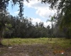 2400 BUCK BOARD TRAIL, LAKE WALES, Florida 33898, ,Land,For Sale,BUCK BOARD,S5063719