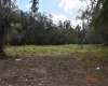 2400 BUCK BOARD TRAIL, LAKE WALES, Florida 33898, ,Land,For Sale,BUCK BOARD,S5063719