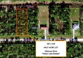 718 HIBISCUS DRIVE, INDIAN LAKE ESTATES, Florida 33855, ,Land,For Sale,HIBISCUS,T3349689