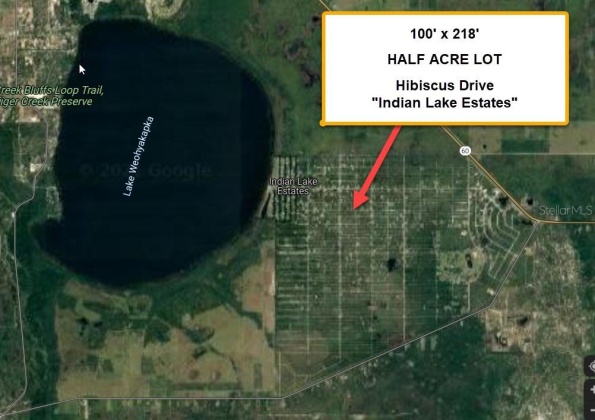 718 HIBISCUS DRIVE, INDIAN LAKE ESTATES, Florida 33855, ,Land,For Sale,HIBISCUS,T3349689