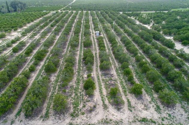 SCENIC HIGHWAY, FROSTPROOF, Florida 33843, ,Land,For Sale,SCENIC,K4901378