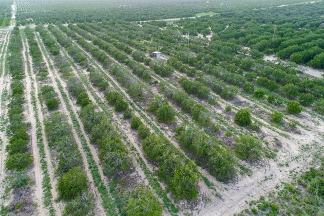 SCENIC HIGHWAY, FROSTPROOF, Florida 33843, ,Land,For Sale,SCENIC,K4901378