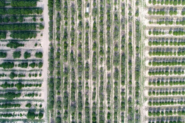 SCENIC HIGHWAY, FROSTPROOF, Florida 33843, ,Land,For Sale,SCENIC,K4901378