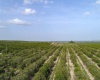 SCENIC HIGHWAY, FROSTPROOF, Florida 33843, ,Land,For Sale,SCENIC,K4901378