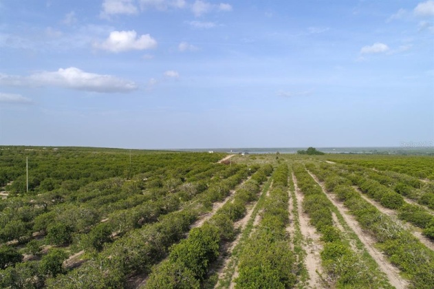 SCENIC HIGHWAY, FROSTPROOF, Florida 33843, ,Land,For Sale,SCENIC,K4901378