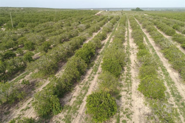 SCENIC HIGHWAY, FROSTPROOF, Florida 33843, ,Land,For Sale,SCENIC,K4901378