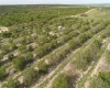 SCENIC HIGHWAY, FROSTPROOF, Florida 33843, ,Land,For Sale,SCENIC,K4901378