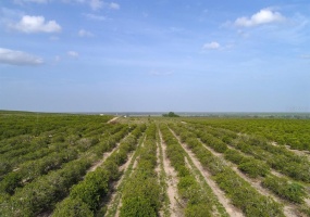 SCENIC HIGHWAY, FROSTPROOF, Florida 33843, ,Land,For Sale,SCENIC,K4901378