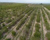 SCENIC HIGHWAY, FROSTPROOF, Florida 33843, ,Land,For Sale,SCENIC,K4901378