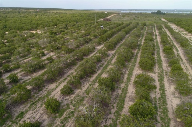 SCENIC HIGHWAY, FROSTPROOF, Florida 33843, ,Land,For Sale,SCENIC,K4901378