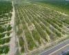 SCENIC HIGHWAY, FROSTPROOF, Florida 33843, ,Land,For Sale,SCENIC,K4901378