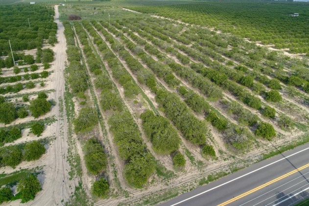 SCENIC HIGHWAY, FROSTPROOF, Florida 33843, ,Land,For Sale,SCENIC,K4901378
