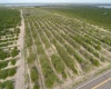 SCENIC HIGHWAY, FROSTPROOF, Florida 33843, ,Land,For Sale,SCENIC,K4901378