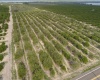 SCENIC HIGHWAY, FROSTPROOF, Florida 33843, ,Land,For Sale,SCENIC,K4901378