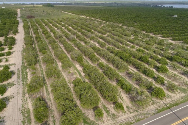 SCENIC HIGHWAY, FROSTPROOF, Florida 33843, ,Land,For Sale,SCENIC,K4901378