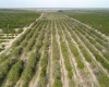 SCENIC HIGHWAY, FROSTPROOF, Florida 33843, ,Land,For Sale,SCENIC,K4901378