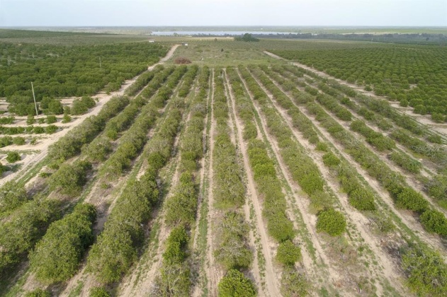 SCENIC HIGHWAY, FROSTPROOF, Florida 33843, ,Land,For Sale,SCENIC,K4901378