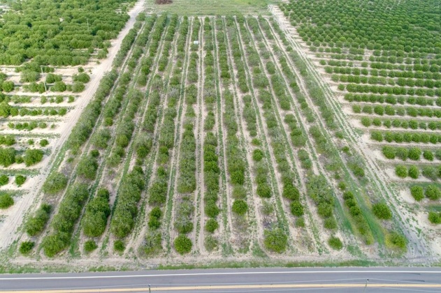 SCENIC HIGHWAY, FROSTPROOF, Florida 33843, ,Land,For Sale,SCENIC,K4901378