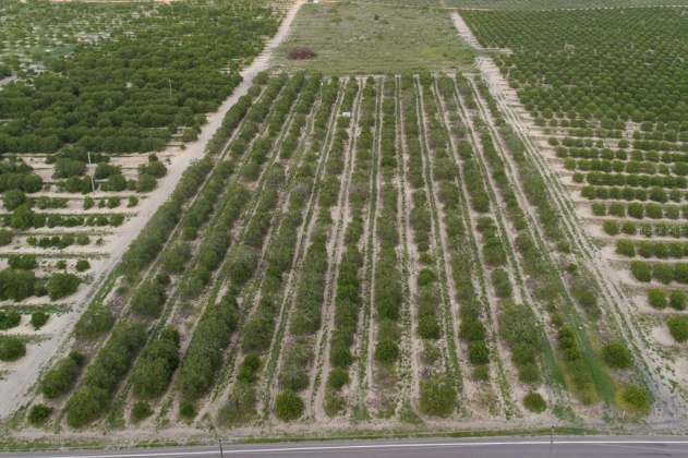 SCENIC HIGHWAY, FROSTPROOF, Florida 33843, ,Land,For Sale,SCENIC,K4901378
